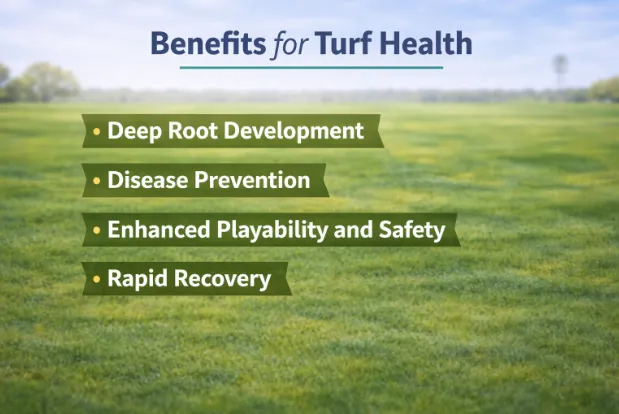 Turf Health